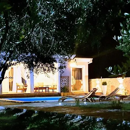 Dora Villa Vir